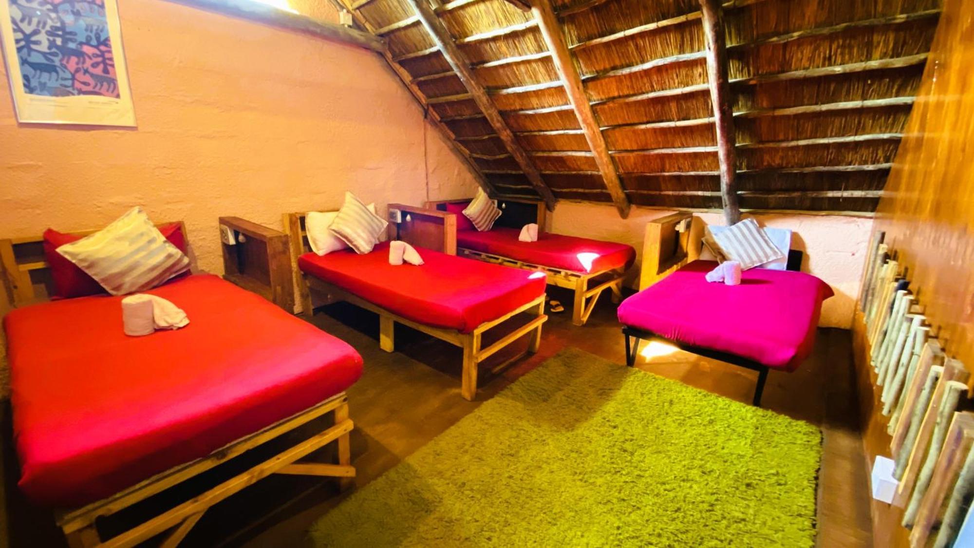 Elephant Trail Guesthouse And Backpackers Kasane Pokoj fotografie